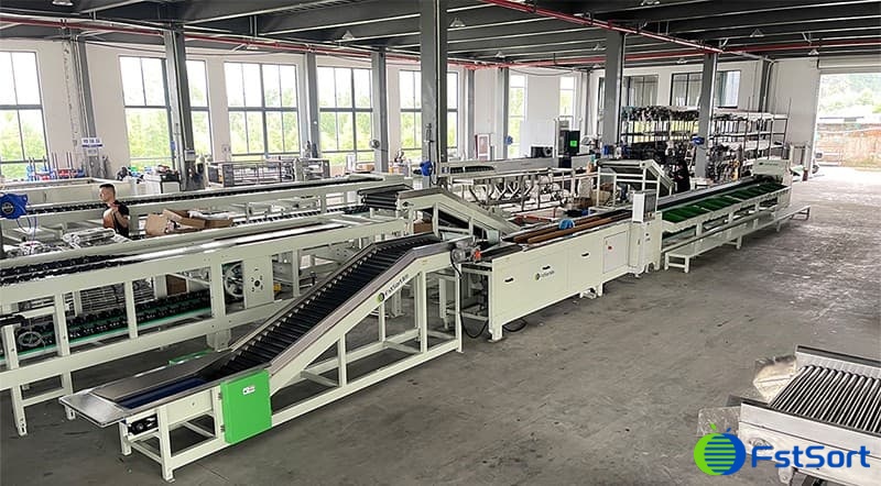 peach weight sorter.jpg peach weight sorter.jpg